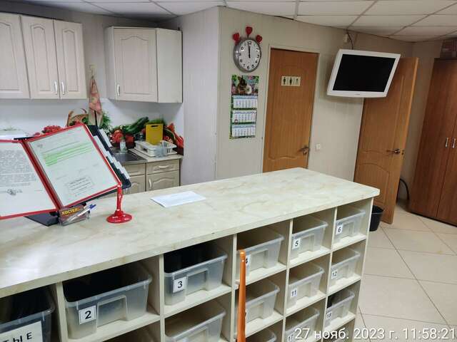 Хостел Хостел на Гуртьева Орёл-11